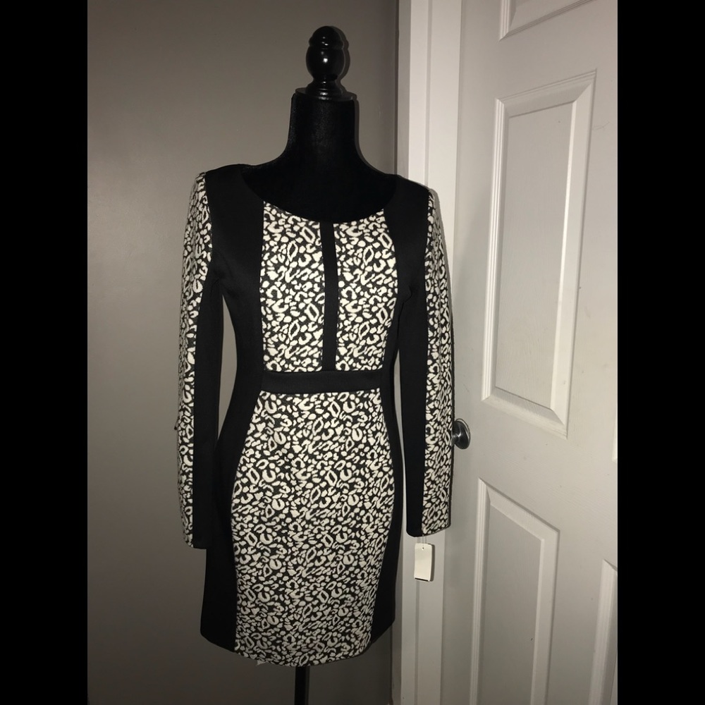 GUESS (BRAND NEW) Beautiful dress for the fall.